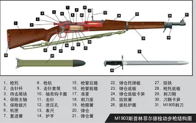 从模仿到超越:美军在朝鲜战场使用的两种狙击步枪(上)5