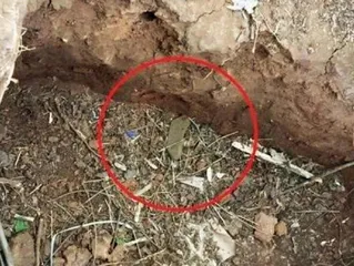 “种类繁多,雷而不同”:现代智能地雷及遥控雷区3