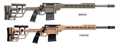 高阶进化:丹尼尔防御公司Delta 5 Pro精准步枪18