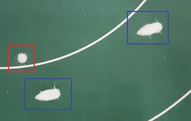 要想驰骋疆场,先过铁嘴钢牙3
