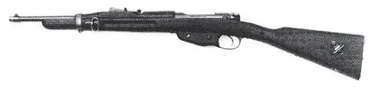 31型,72种枪弹: 荷兰M.95步枪极致演变(二)15