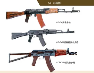 现代轻武器之路:枪族化与模块化4
