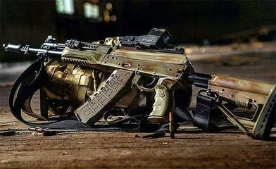 2020年度:国外士兵系统及轻武器发展动向(上)9