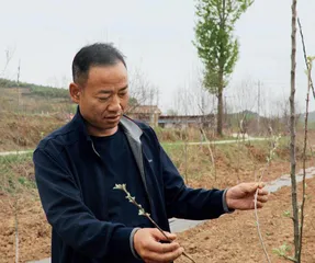 留住乡愁 富了民