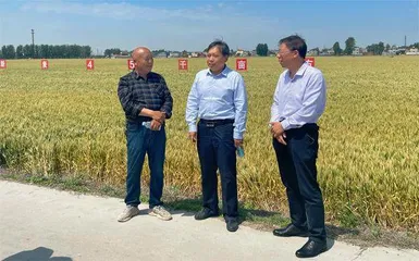 新乡市农科院:加快创新 做强“农业芯”