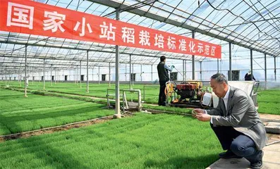 破发展瓶颈 护种业安全