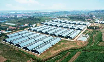 山东乳山:“红色朋友圈”共引振兴路