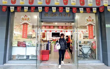 供销社:蛰伏欲飞1