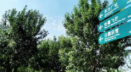 北京:化工区化身城市“绿肺”1