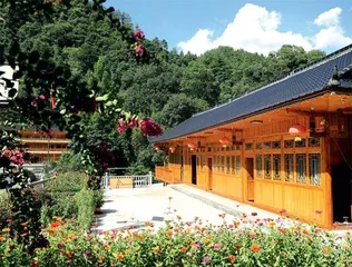 湖北鹤峰:好生态带来老区高颜值1