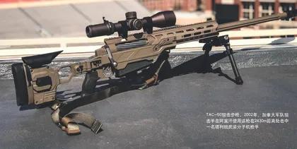 .338:远距离狙击人物目标帕理想口径?5