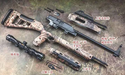 “蓝领枪”代表:Hi-Point武器公司995TS卡宾枪14
