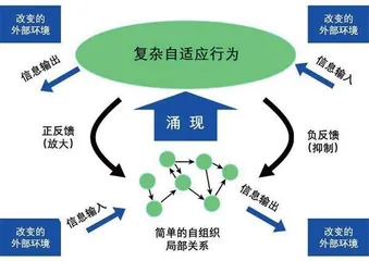 美智库兰德公司发布研究报告阐述如何在大国竞争和战争中利用复杂性2