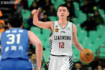 杨鸣 压力巨大 无怨无悔2