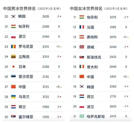 中国冰球 归化的意义4