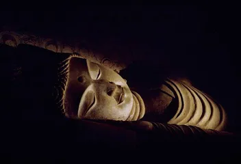 隋唐:博大绚烂 绚烂遗珍 凝固盛世风华7