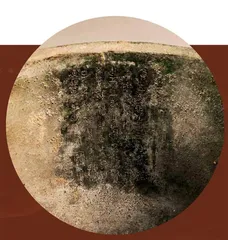 西周:郁郁乎文哉,吾从周2