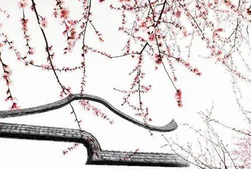 “一剪梅”中的审美意蕴3