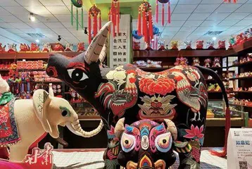 非遗在我 执此一念8