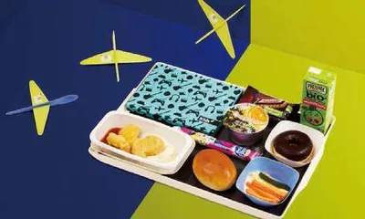 暑假“遛娃”,收好这份飞行指南7