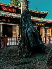古韵秦州诗意流淌