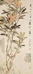 枇杷——初夏第一果 空港2