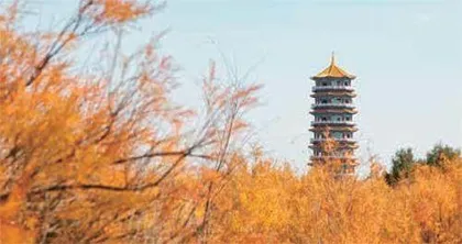 在斑斓秋色里,遇见“醉美”甘肃4