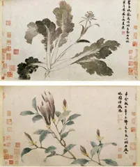 寻味江南食在明朝9
