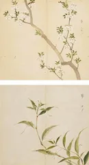 思无邪1
