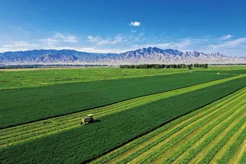 青山永固 绿水恒流3