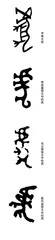虎虎生雄风1