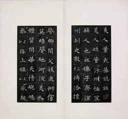 美人姓董1