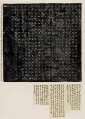 美人姓董2
