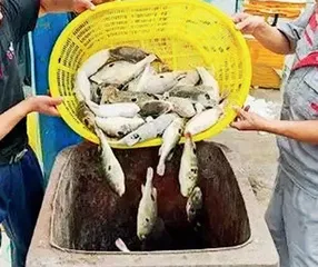 时讯5