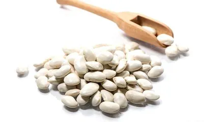 那些被称为“神药”的保健食品(二)1
