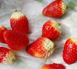 吐司的1000种玩法(二十一)9