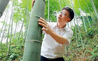院士吴义强，“较劲”甲醛38年2