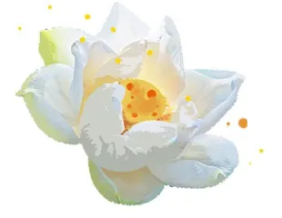 花儿开了