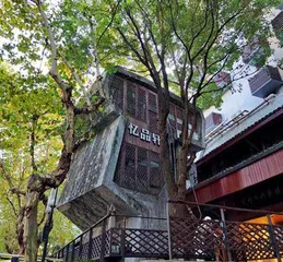 “没有回忆的城市是可怕的”2