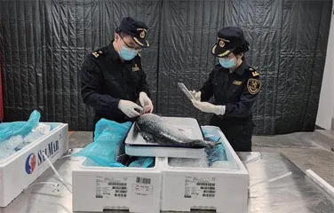 活力消费之城1