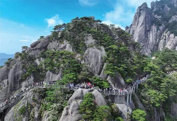 黄山养绿，日进斗金