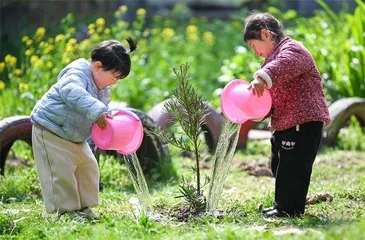 “植未来”