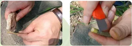 春天的号音2