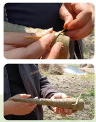 春天的号音8
