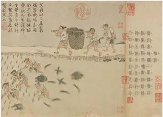 育秧：手把青秧插满田，低头便见水中天3