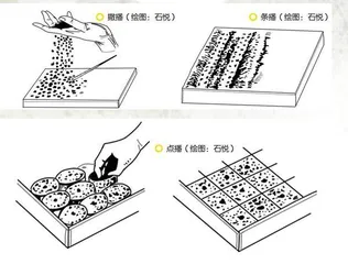 育秧：手把青秧插满田，低头便见水中天5