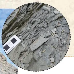 寻找迄今最古老的多细胞真核生物：16.3亿年前的“壮丽青山藻”2
