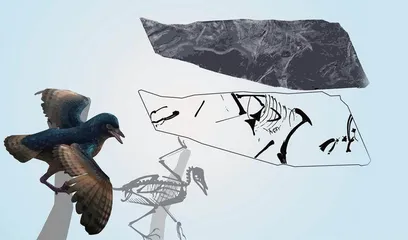 前沿