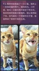 30年后，“李华”终于收到回信2