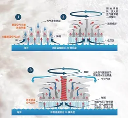 台风呼啸，为何中心独“静”